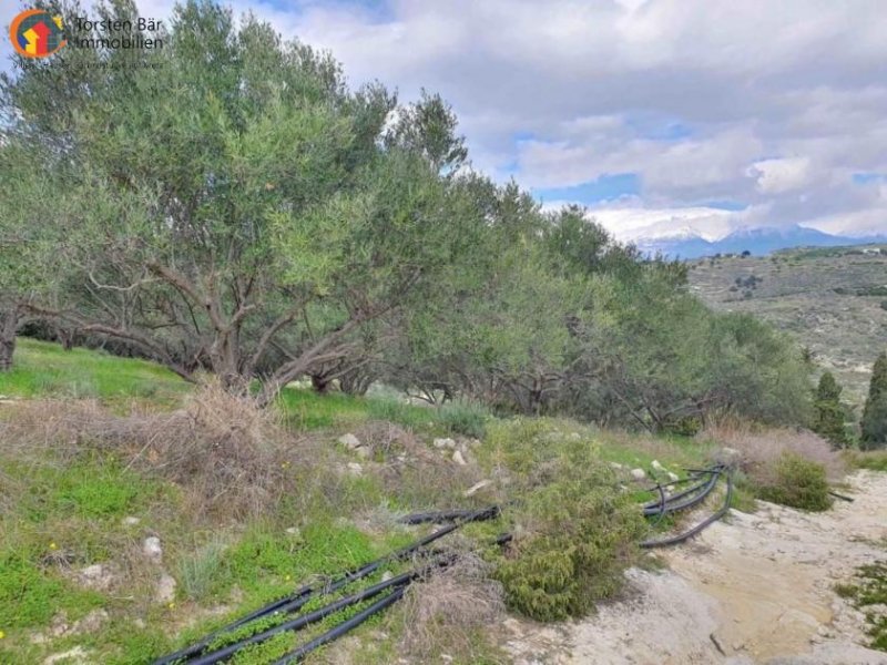 Pitsidia Süd Kreta, Pitsida Baugrundstück mit Meerblick ca.5500m² Grundstück kaufen